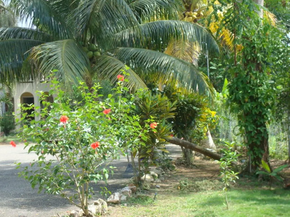 *** شقة فندقية Ocean Wave Villa, نيغريل جامايكا